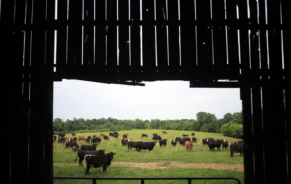 Datacenter-udviklere møder afvisning fra trofaste landmænd