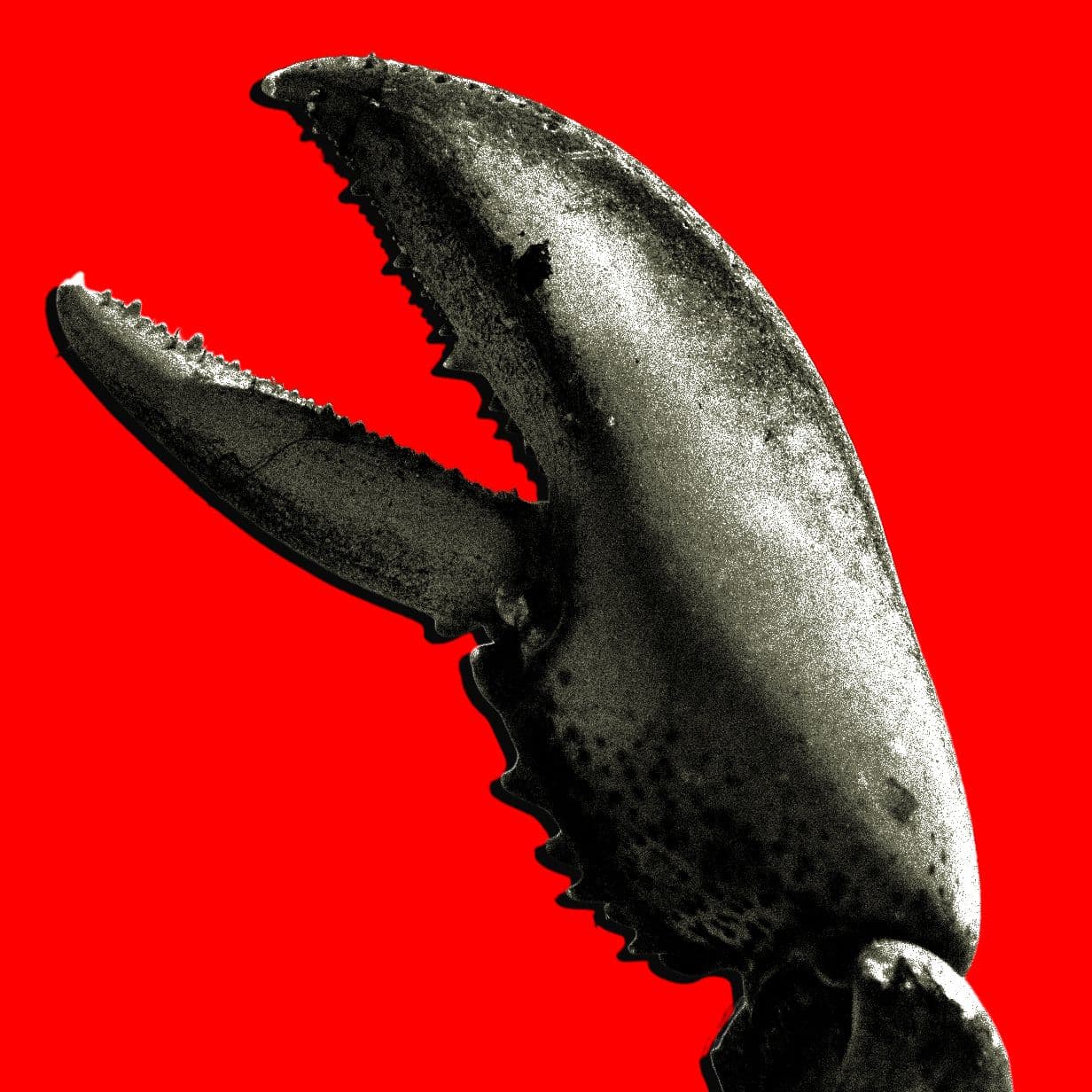 OpenClaw-bonanza i Kina gavner AI-virksomheder