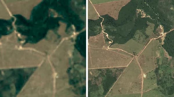 Google og Brasilien laver satellitkort til skovbeskyttelse